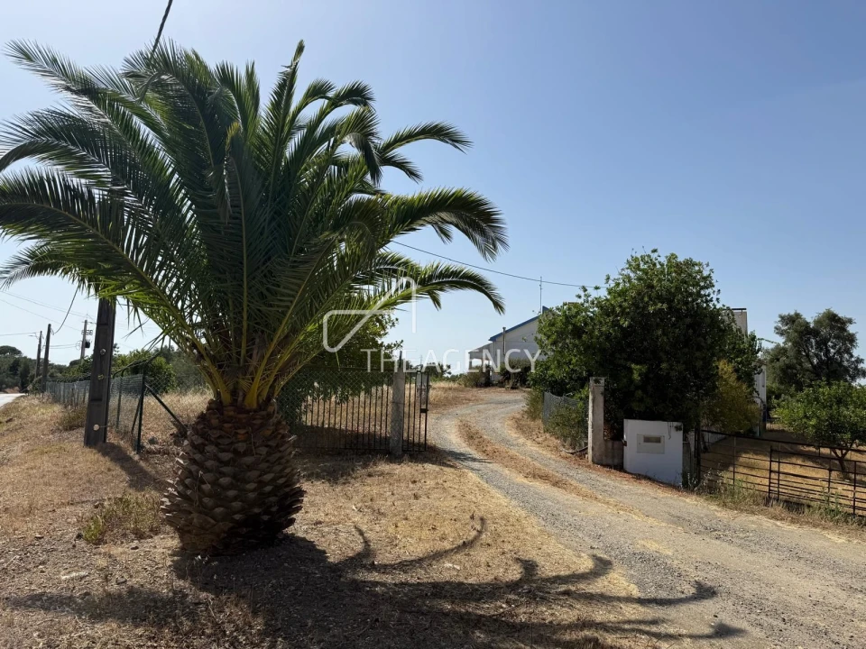 Terreno para Venda em Melides Foto 9