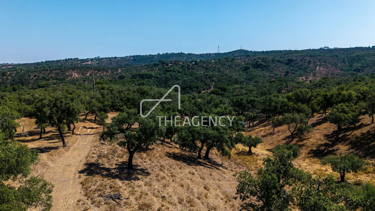 Terreno para Venda em Melides Foto 4