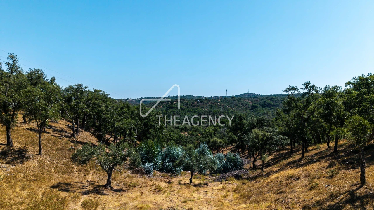 Terreno para Venda em Melides Foto 6