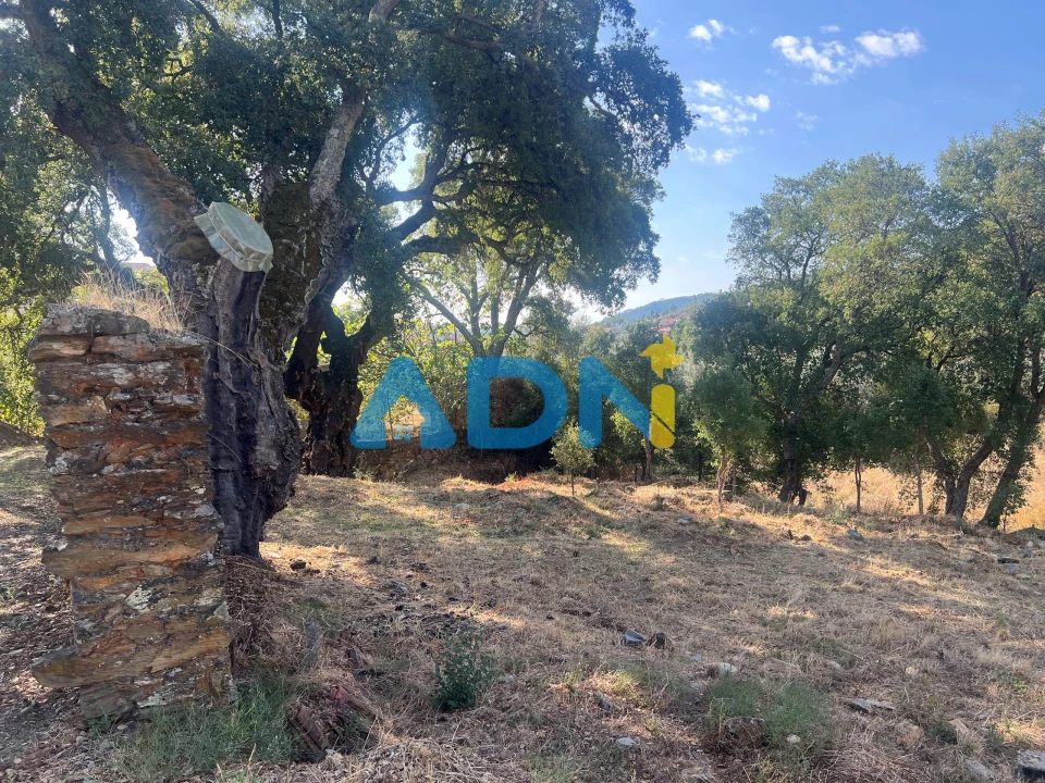 Moradia para Venda em Almaceda Foto 6