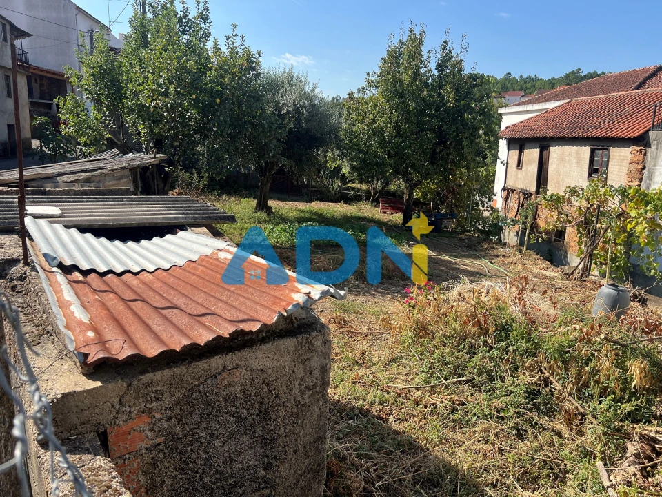 Moradia para Venda em Almaceda Foto 16