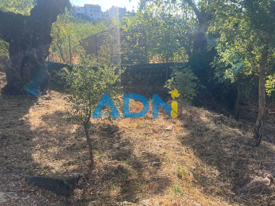 Moradia para Venda em Almaceda Foto 9
