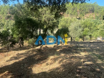 Moradia para Venda em Almaceda