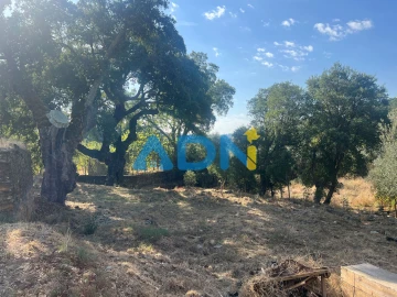 Moradia para Venda em Almaceda