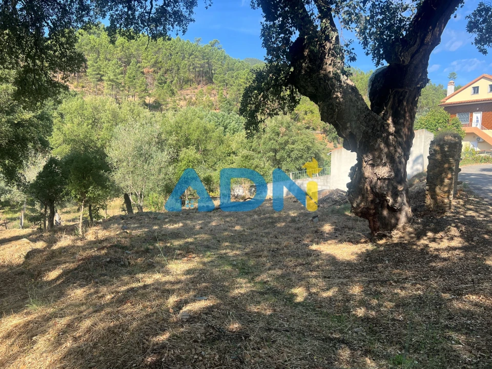 Moradia para Venda em Almaceda Foto 2