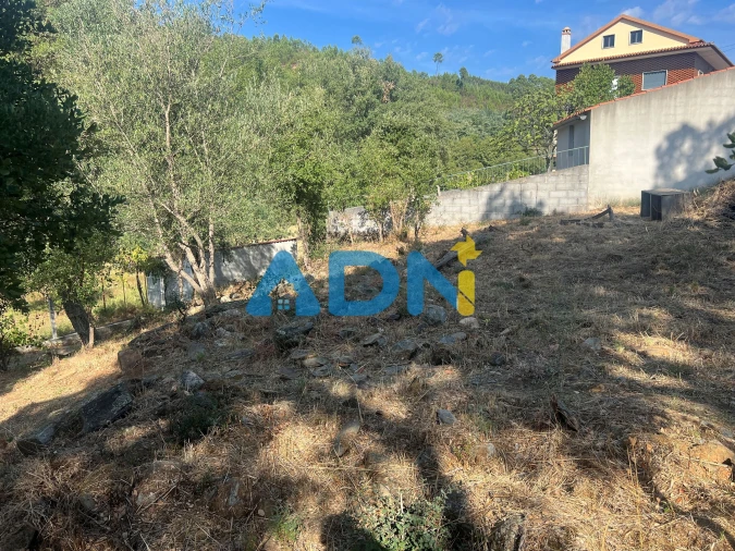 Moradia para Venda em Almaceda Foto 8