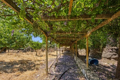 Quinta T9 para Venda em Borba (Matriz)