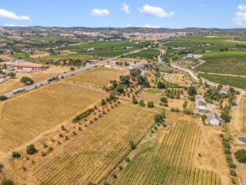 Quinta T9 para Venda em Borba (Matriz)
