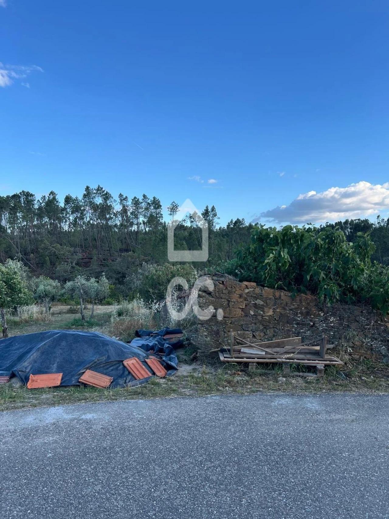 Terreno para Venda em Santo Andre das Tojeiras Foto 13