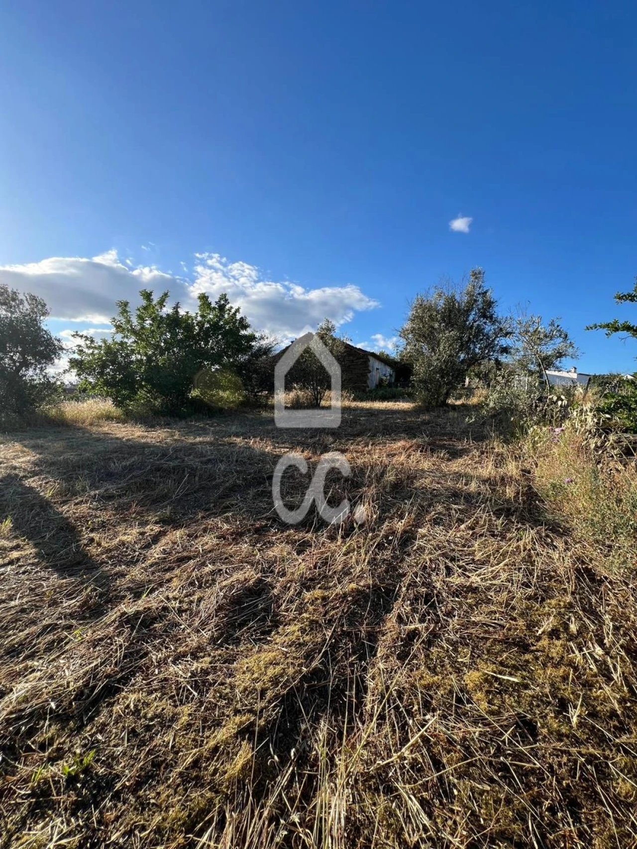 Terreno para Venda em Santo Andre das Tojeiras Foto 4