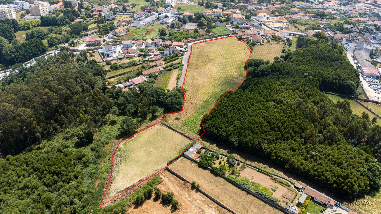 Terreno Agricola ou Rústico para Venda em Grijo Foto 10