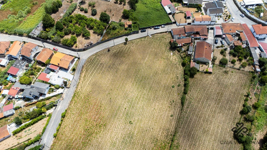 Terreno Agricola ou Rústico para Venda em Grijo Foto 6