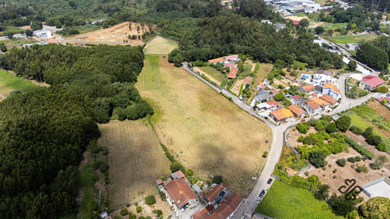 Terreno Agricola ou Rústico para Venda em Grijo Foto 11