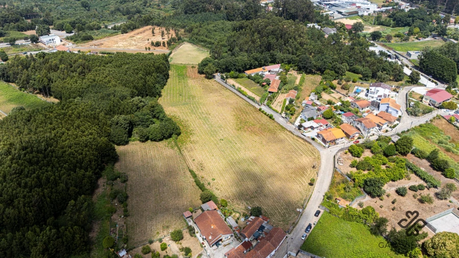 Terreno Agricola ou Rústico para Venda em Grijo Foto 11