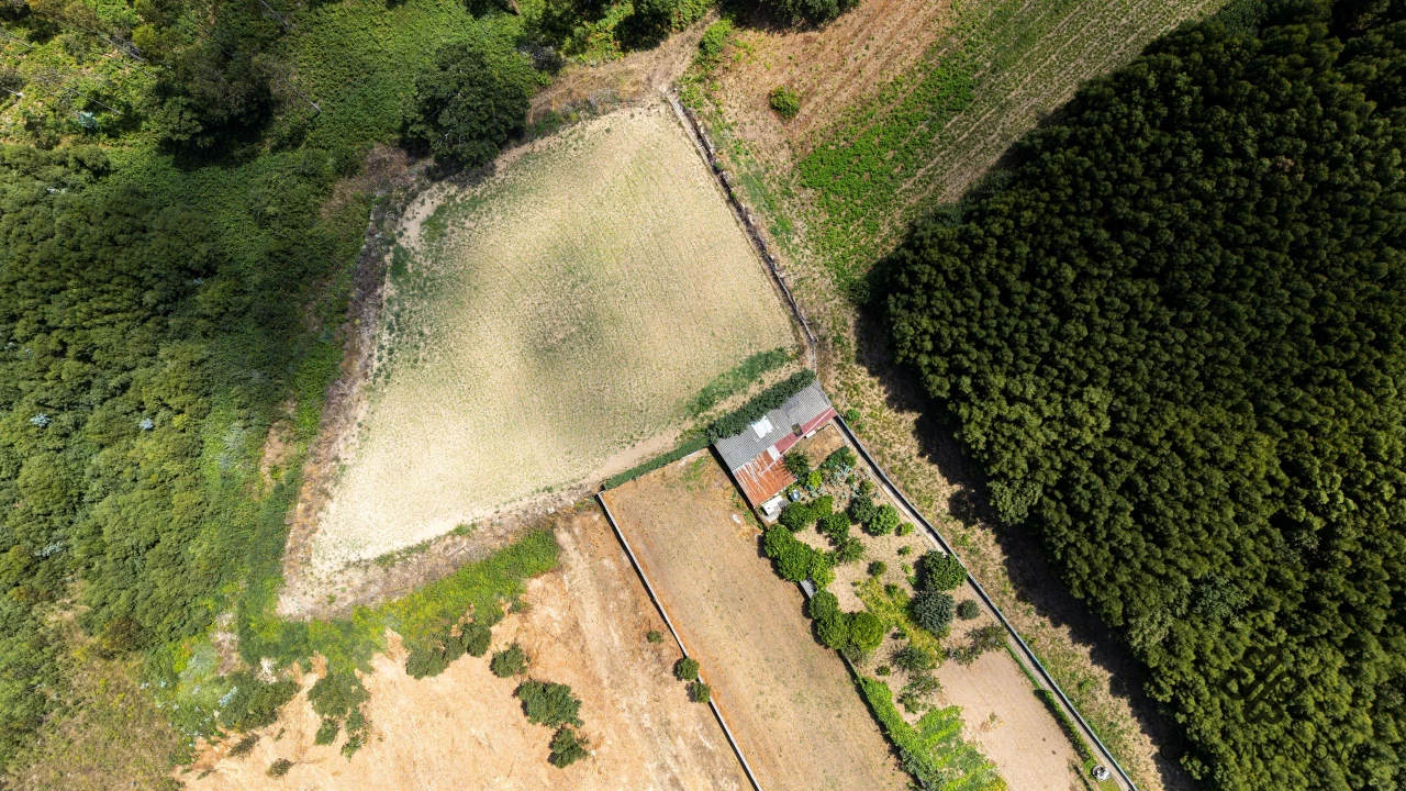 Terreno Agricola ou Rústico para Venda em Grijo Foto 4