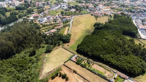 Terreno Agricola ou Rústico para Venda em Grijo