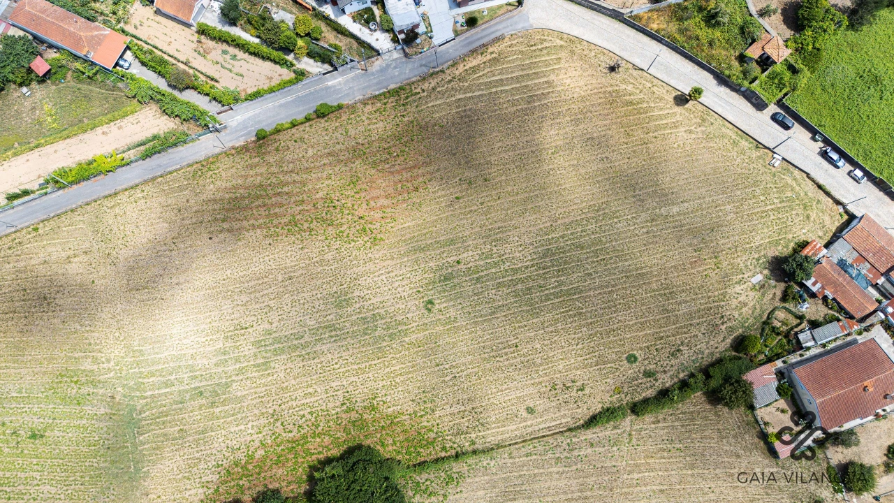 Terreno Agricola ou Rústico para Venda em Grijo Foto 7