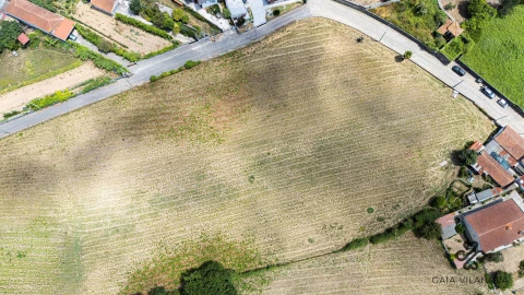 Terreno Agricola ou Rústico para Venda em Grijo