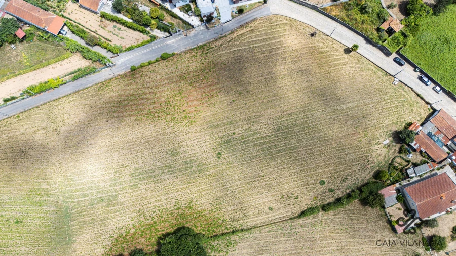 Terreno Agricola ou Rústico para Venda em Grijo Foto 7