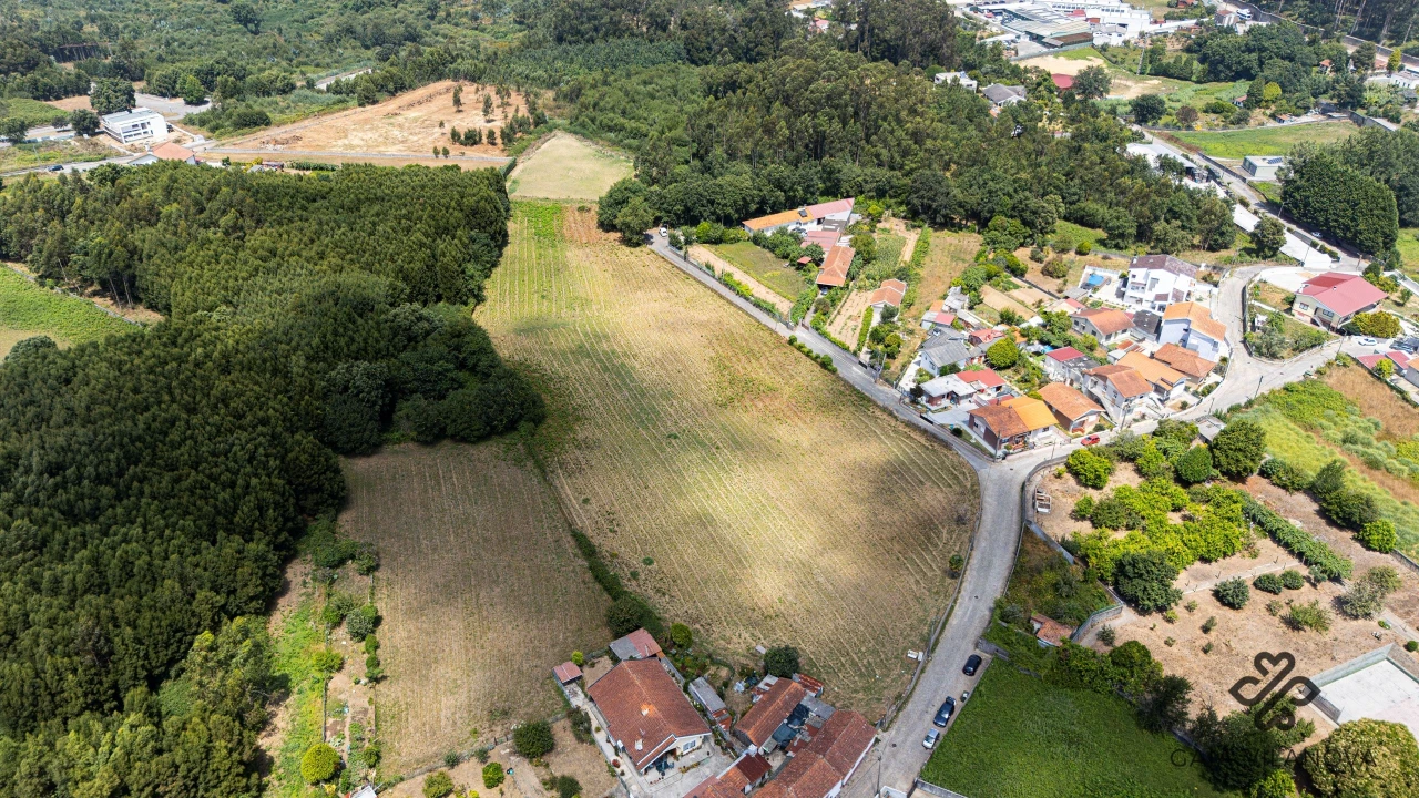 Terreno Agricola ou Rústico para Venda em Grijo Foto 2