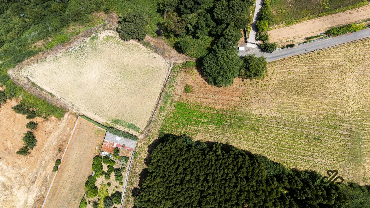 Terreno Agricola ou Rústico para Venda em Grijo Foto 8