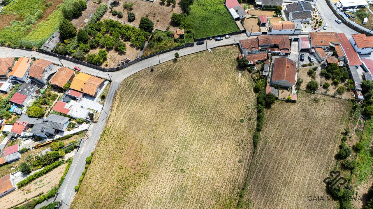 Terreno Agricola ou Rústico para Venda em Grijo Foto 6