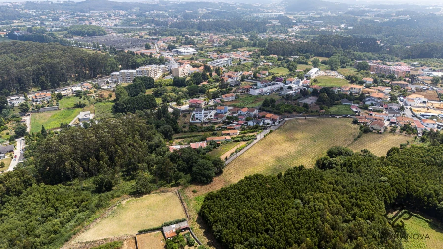 Terreno Agricola ou Rústico para Venda em Grijo Foto 9