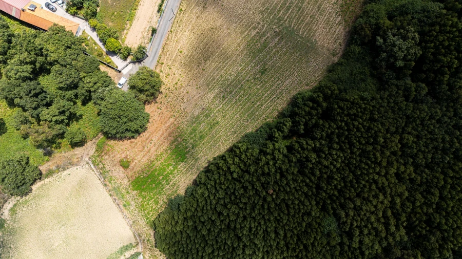 Terreno Agricola ou Rústico para Venda em Grijo Foto 5