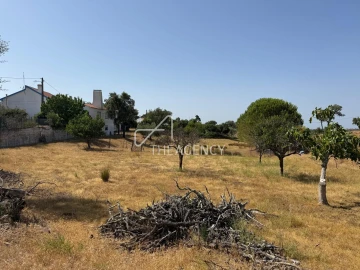 Terreno para Venda em Melides