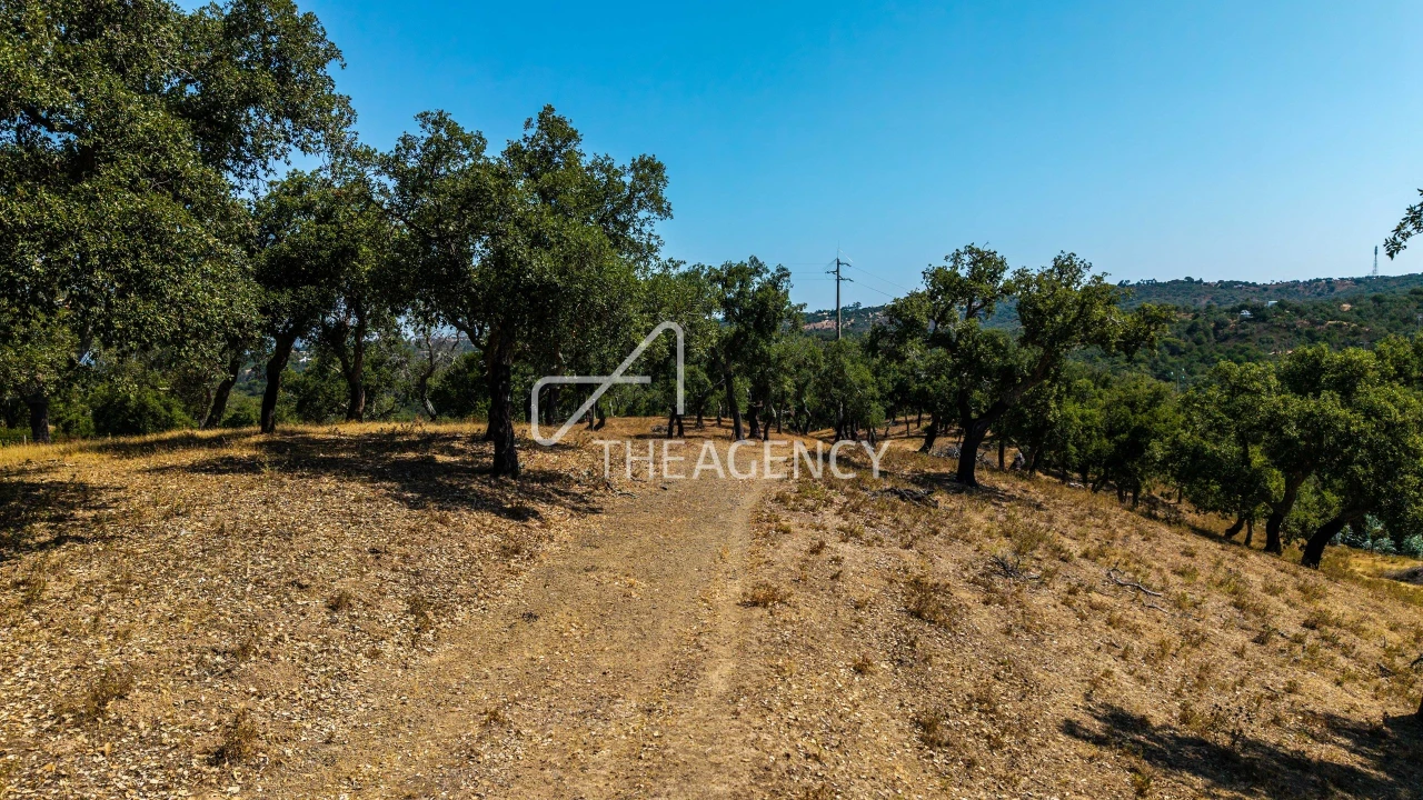 Terreno para Venda em Melides Foto 3