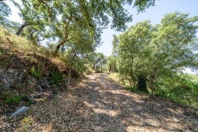 Moradia T1 para Venda em Monchique