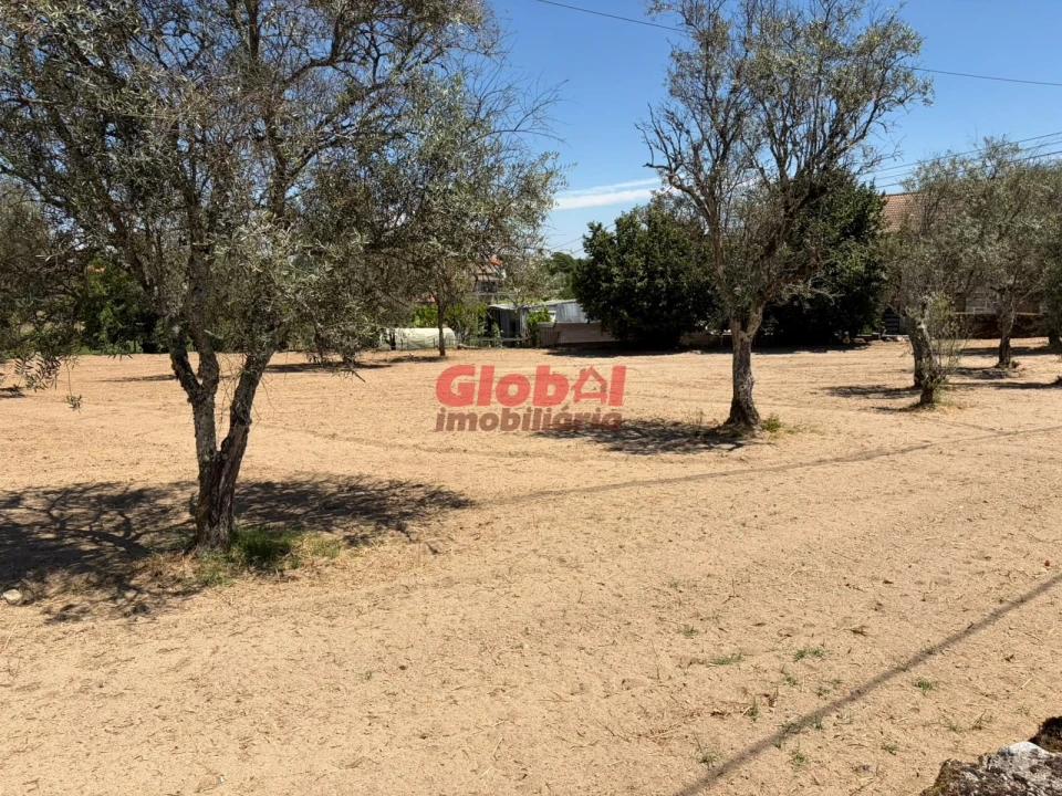 Terreno para Venda em Avelal Foto 1
