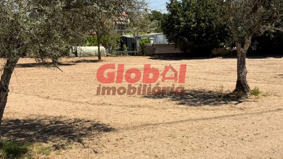 Terreno para Venda em Avelal
