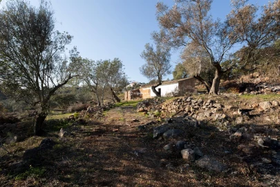 Terreno Misto para Venda em Loule (São Clemente)