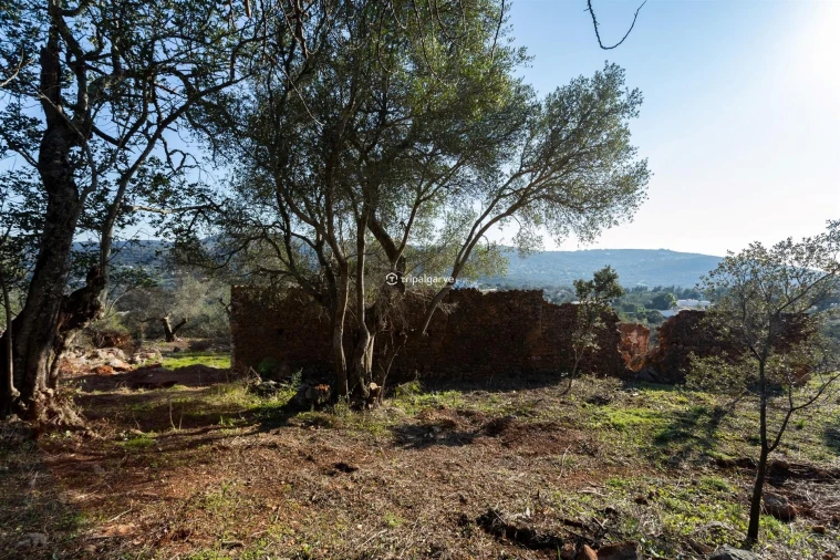 Terreno Misto para Venda em Loule (São Clemente) Foto 20