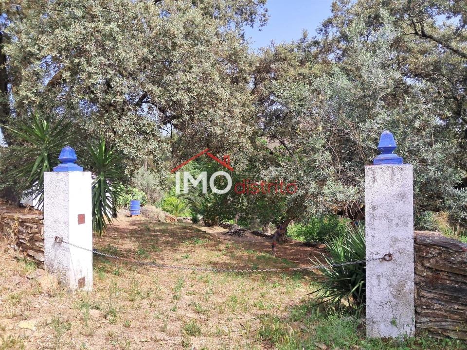 Moradia T4 para Venda em Reguengo e São Julião Foto 3