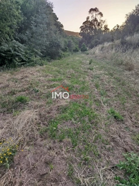 Moradia T4 para Venda em Reguengo e São Julião