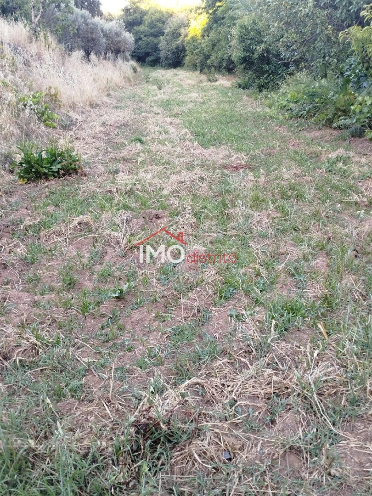 Moradia T4 para Venda em Reguengo e São Julião Foto 40