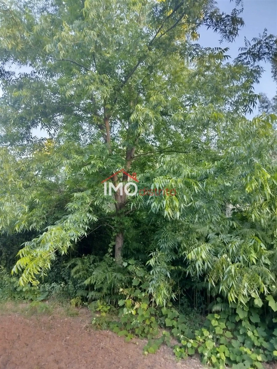 Moradia T4 para Venda em Reguengo e São Julião Foto 41