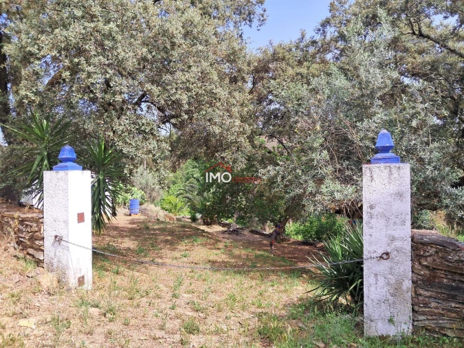 Moradia T4 para Venda em Reguengo e São Julião Foto 39