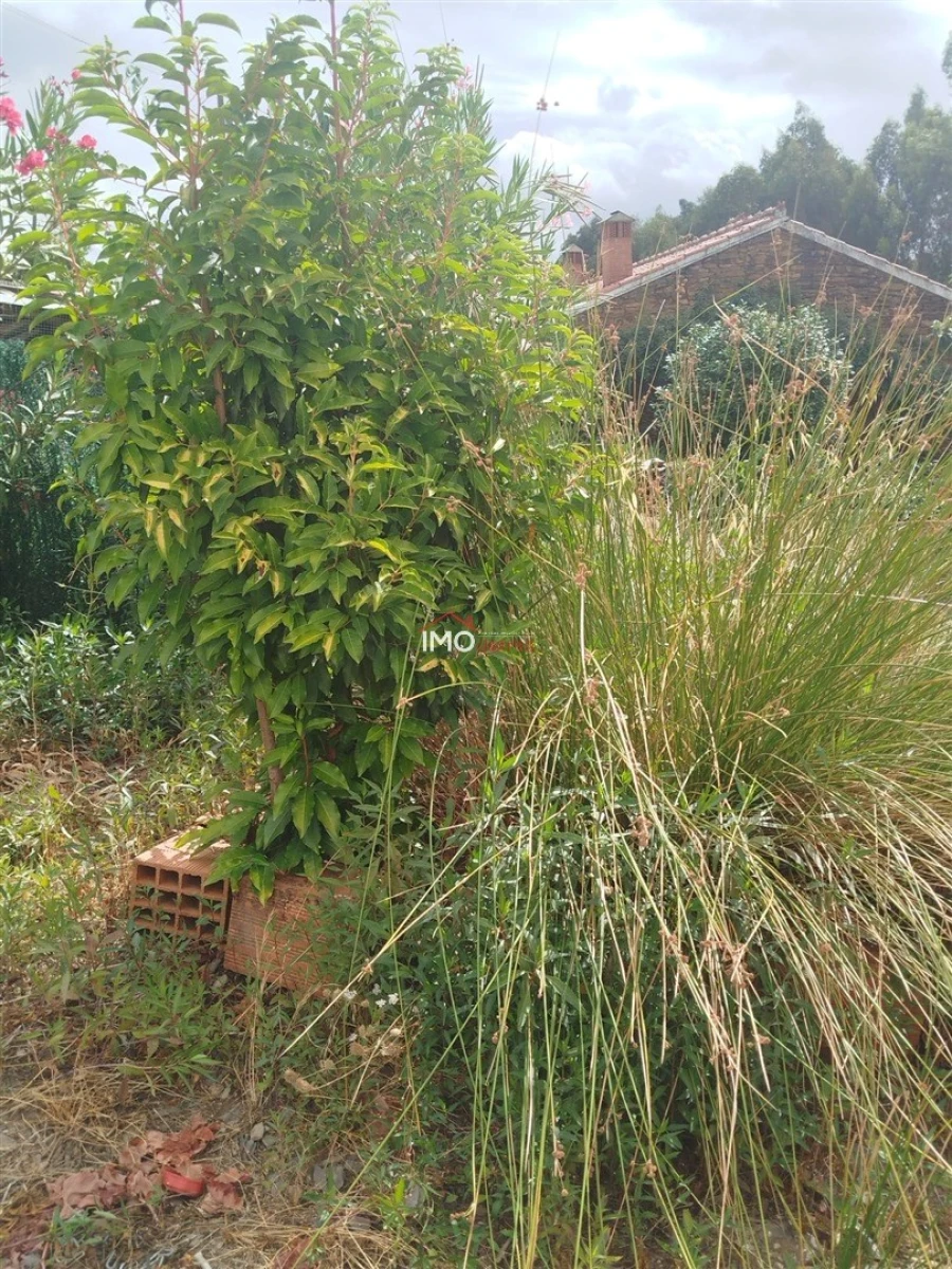 Moradia T4 para Venda em Reguengo e São Julião Foto 82