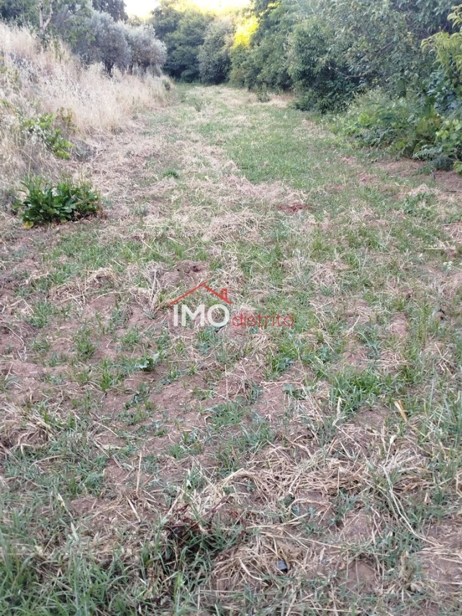 Moradia T4 para Venda em Reguengo e São Julião Foto 40