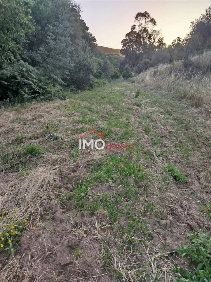 Moradia T4 para Venda em Reguengo e São Julião Foto 39