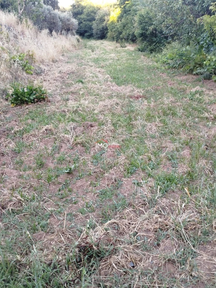 Moradia T4 para Venda em Reguengo e São Julião Foto 79