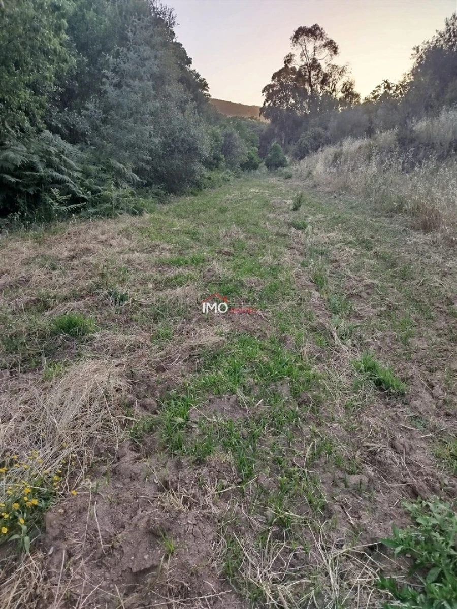 Moradia T4 para Venda em Reguengo e São Julião Foto 78