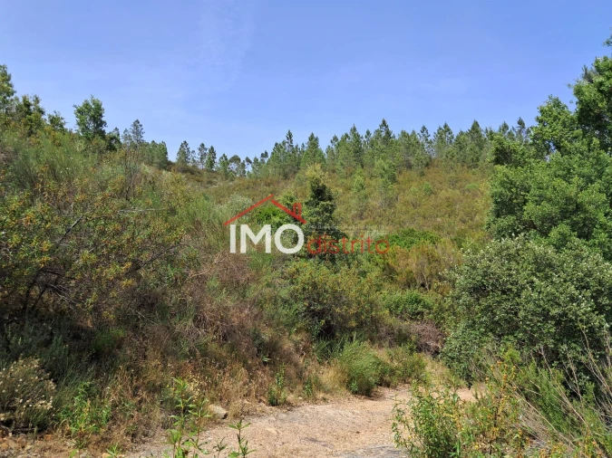 Moradia T4 para Venda em Reguengo e São Julião Foto 6