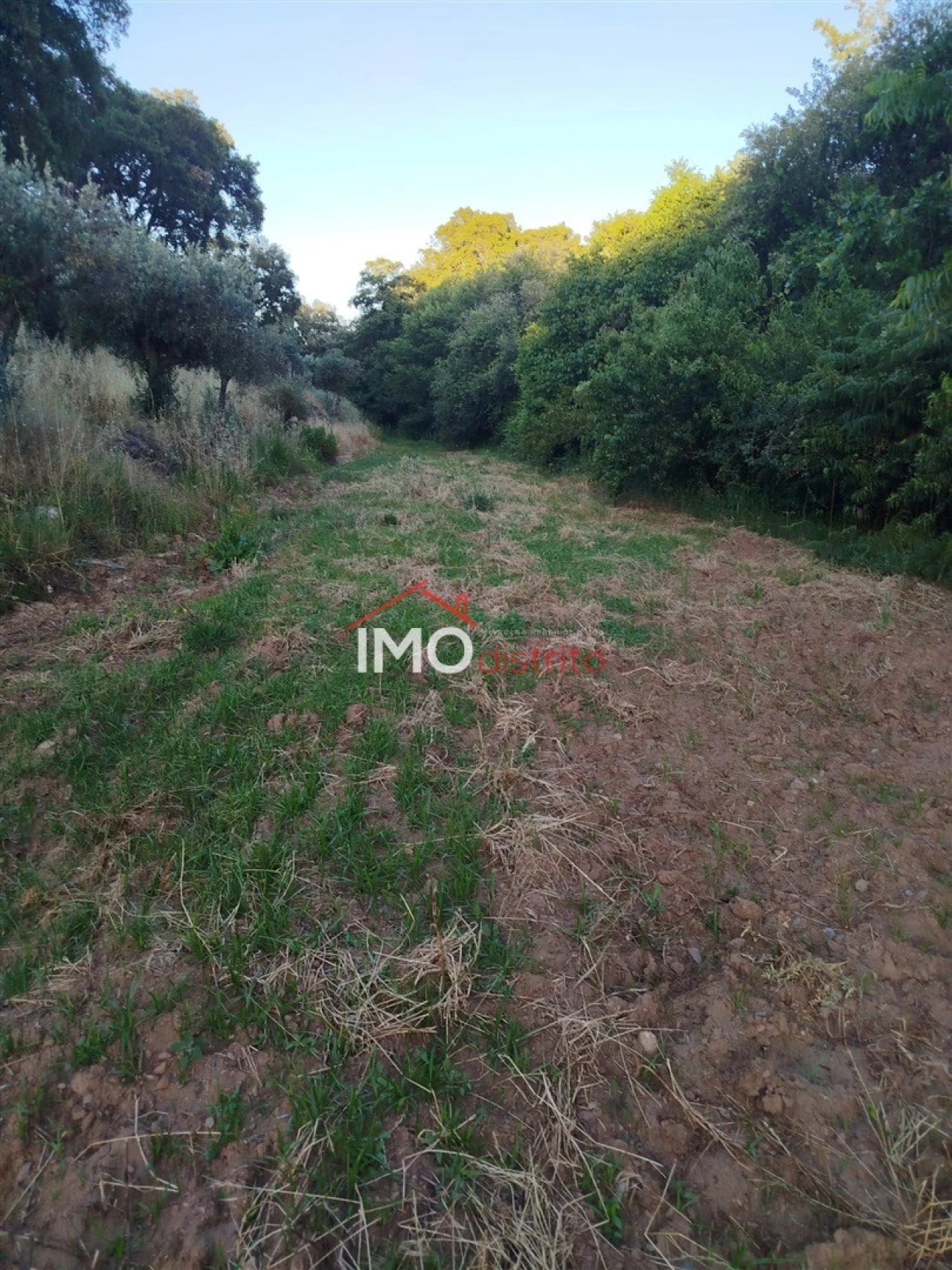 Moradia T4 para Venda em Reguengo e São Julião Foto 38