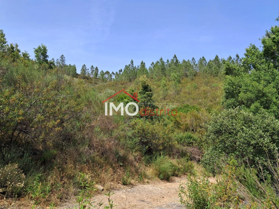 Moradia T4 para Venda em Reguengo e São Julião Foto 6