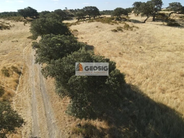 Quinta T3 para Venda em Santa Cruz