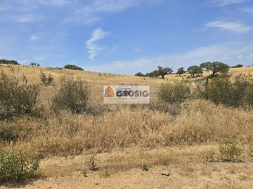 Quinta T3 para Venda em Santa Cruz